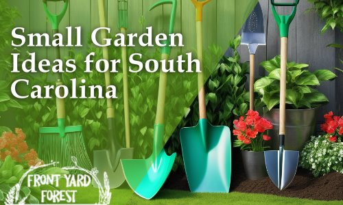 Eco-friendly lawn alternative with clover and wildflowers designed by Front Yard Forest, Lexington, SC