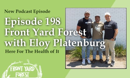 Eco-friendly lawn alternative with clover and wildflowers designed by Front Yard Forest, Lexington, SC