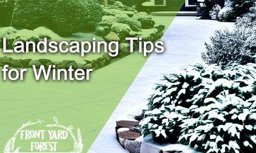 Eco-friendly lawn alternative with clover and wildflowers designed by Front Yard Forest, Lexington, SC