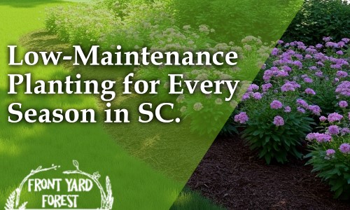 Eco-friendly lawn alternative with clover and wildflowers designed by Front Yard Forest, Lexington, SC