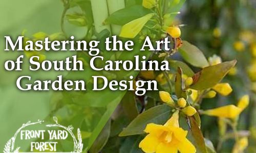 Eco-friendly lawn alternative with clover and wildflowers designed by Front Yard Forest, Lexington, SC