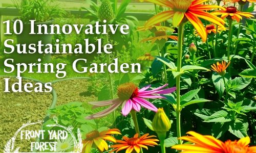 Eco-friendly lawn alternative with clover and wildflowers designed by Front Yard Forest, Lexington, SC