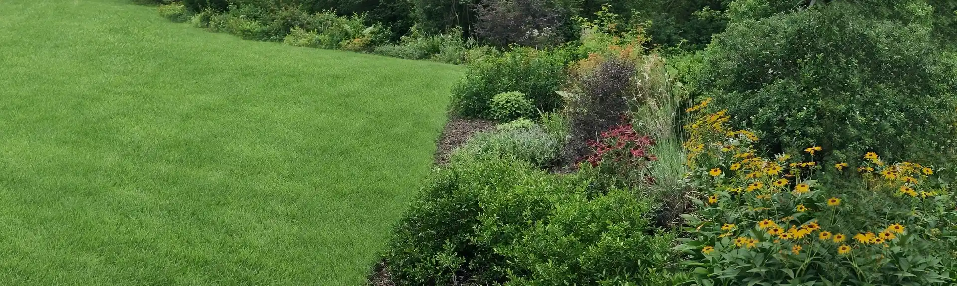 Eco-friendly sustainable landscaping design by Front Yard Forest in Columbia, SC