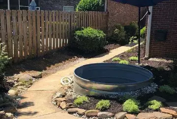 Water conservation solutions for a more eco-conscious garden