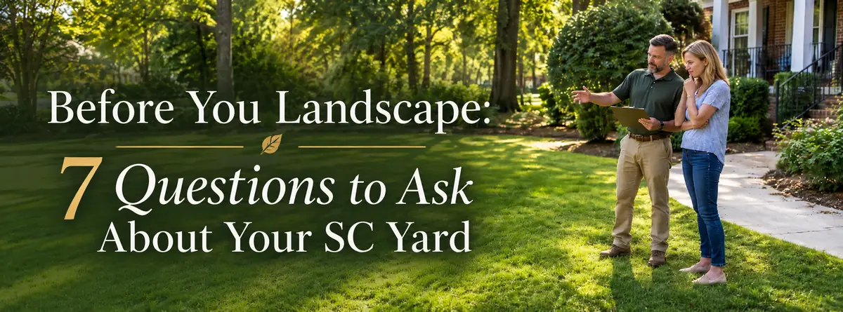 Before You Landscape: 7 Questions to Ask About Your SC Yard - Front Yard Forest sustainable landscaping article