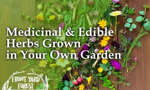 sustainable landscape