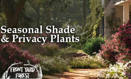 sustainable landscape