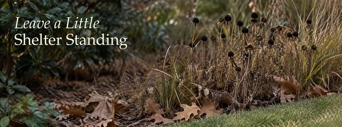 Standing seed heads and fallen oak leaves beside a tidy lawn edge, with Leave a Little Shelter Standing lettering
