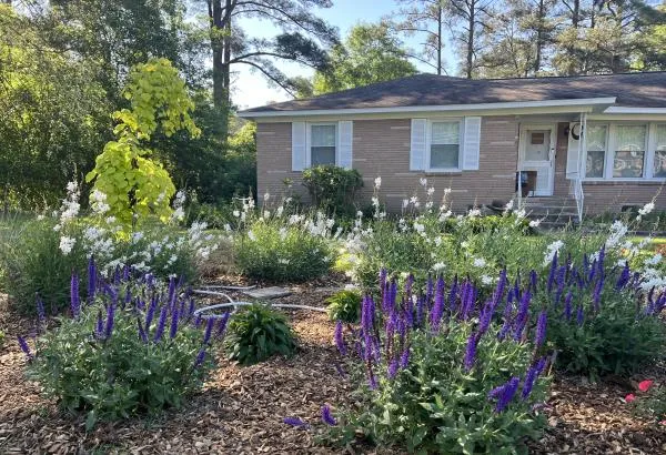 Outdoor patio space with integrated garden design and seating area by Front Yard Forest