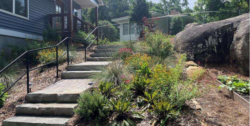 Native Plants Landscaping